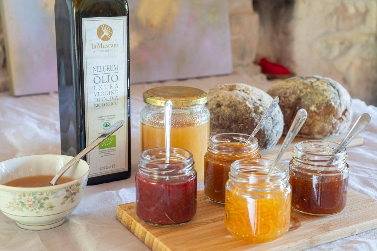 Agriturismo "Le Cannelle" Spa & Day Wellness Villa Фосомброне Екстериор снимка