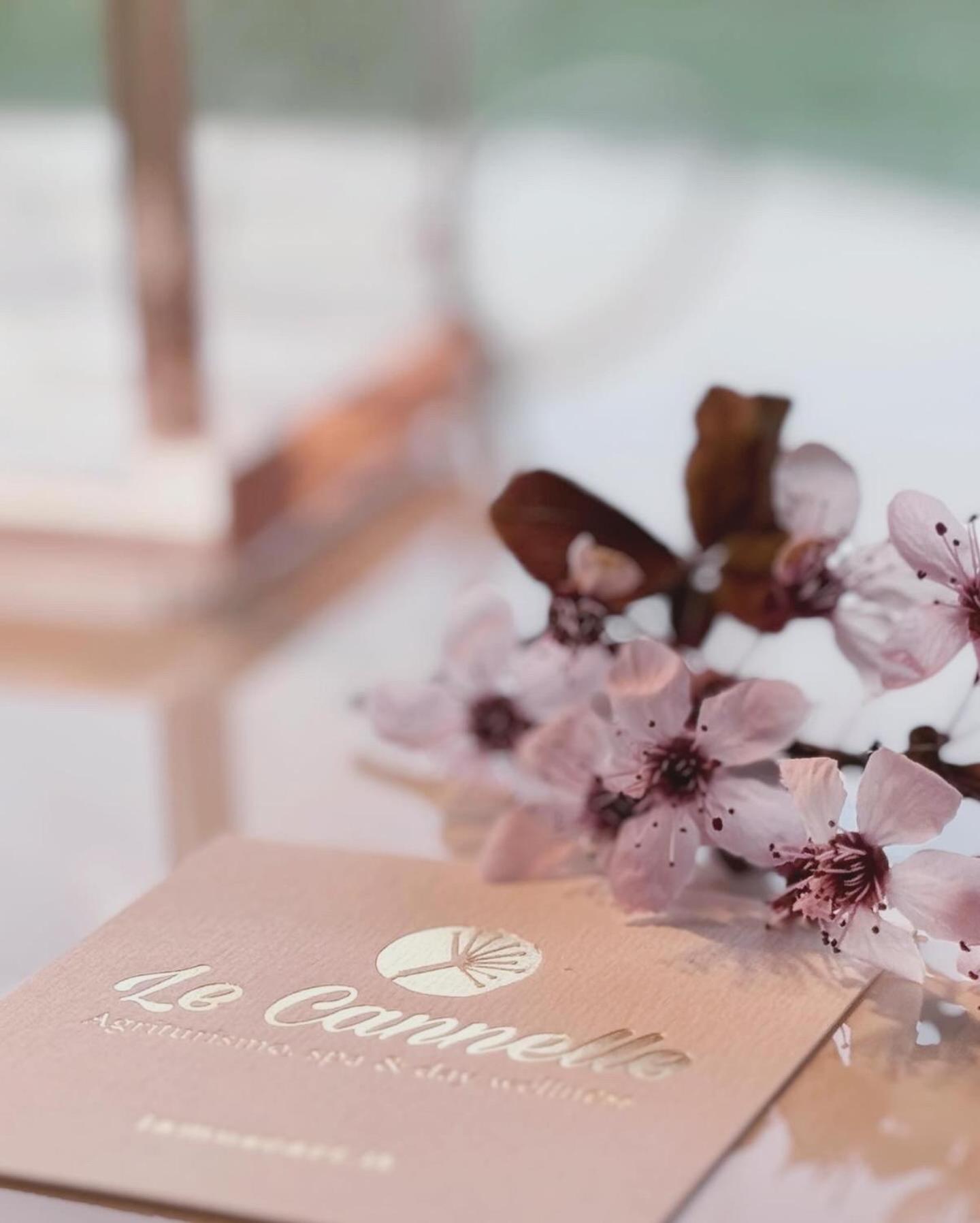 Agriturismo "Le Cannelle" Spa & Day Wellness Villa Фосомброне Екстериор снимка