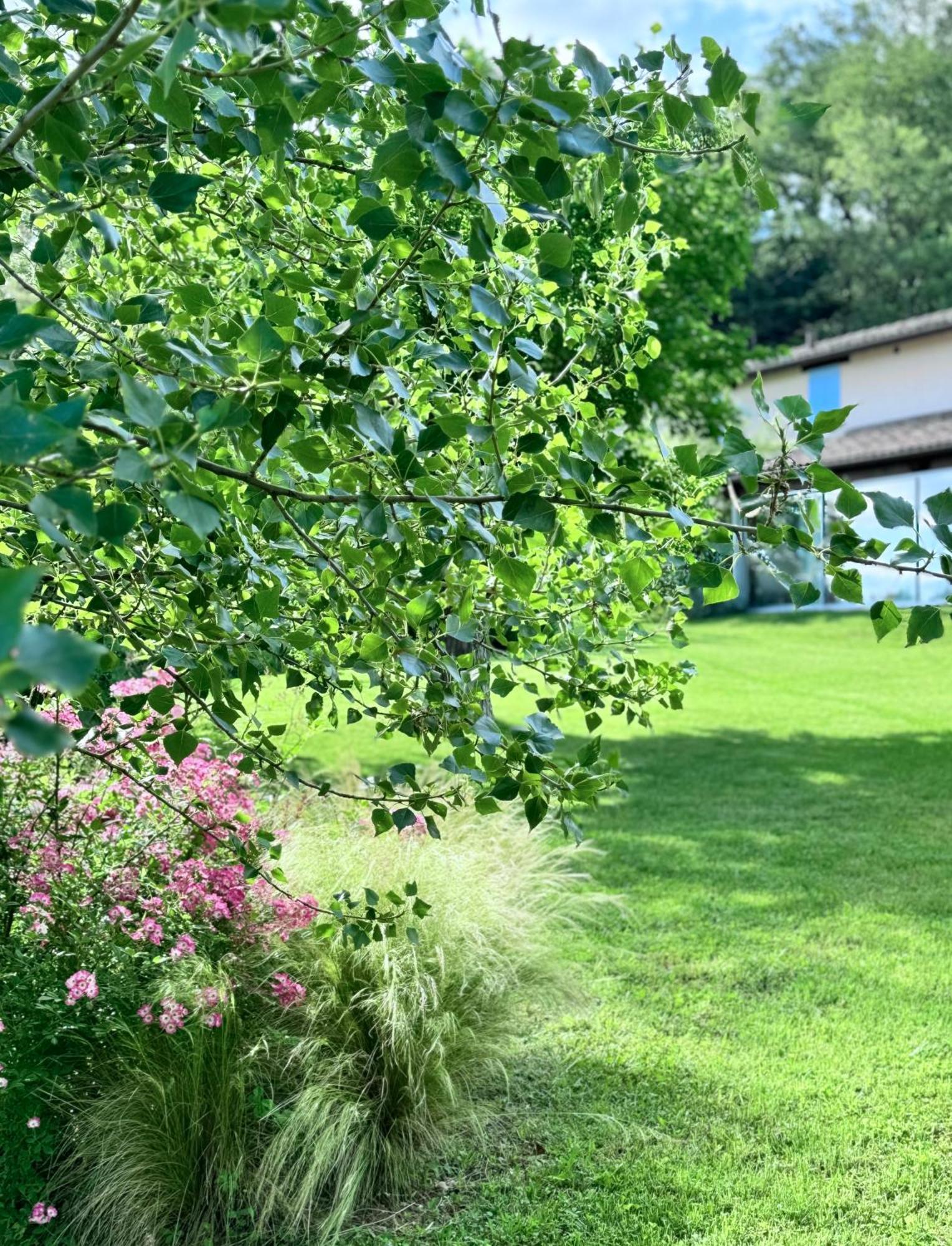 Agriturismo "Le Cannelle" Spa & Day Wellness Villa Фосомброне Екстериор снимка